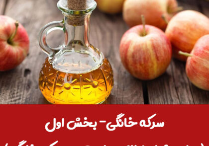 سرکه خانگی- بخش اول (مواد و شرایط لازم برای تهیه سرکه خانگی)