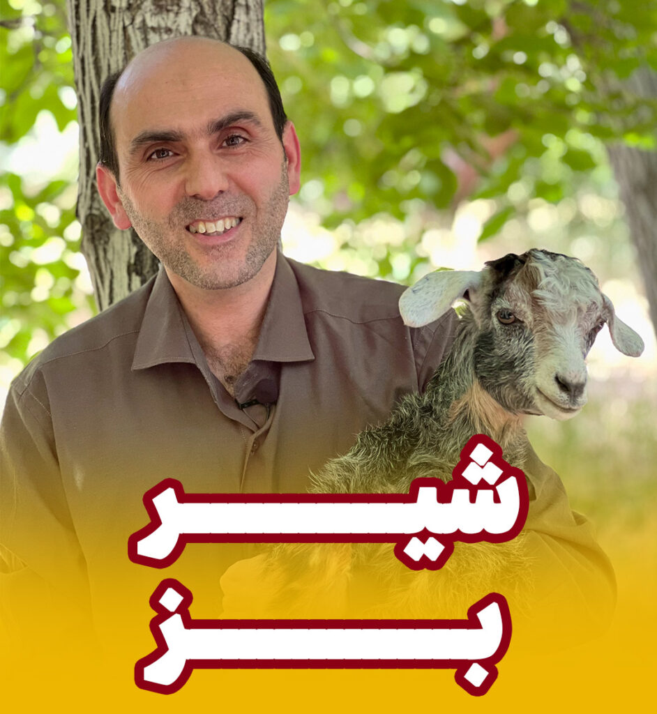 شیر بز